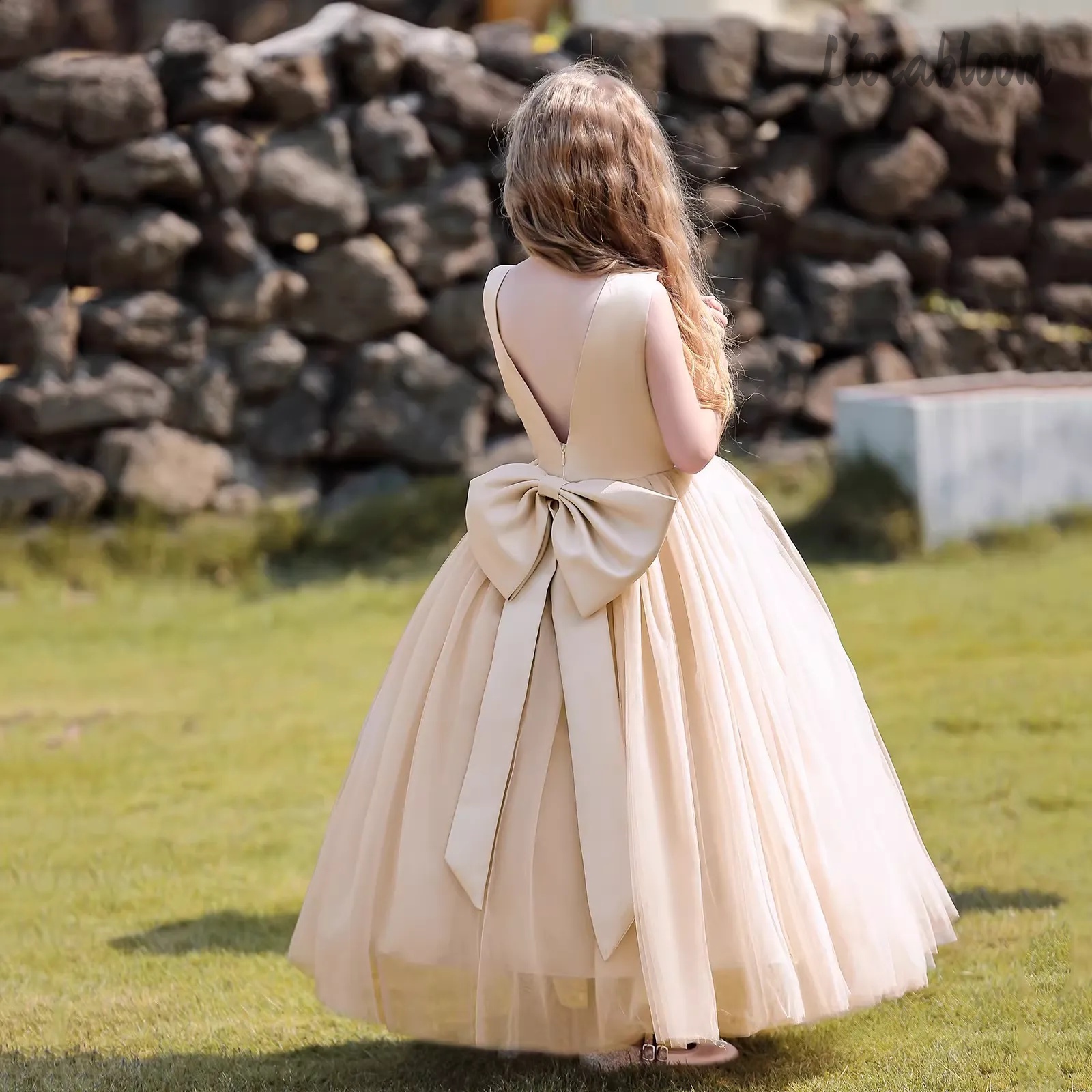 Multicolor Backless Princess D - Women Formal Wear For Wedding ulasan dan harga